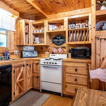 Quaint & Secluded Near Dollywood With Bbq&Hot Tub Villa Pigeon Forge Exterior photo